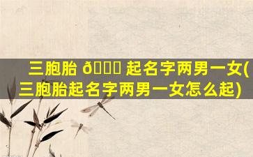 三胞胎 🐎 起名字两男一女(三胞胎起名字两男一女怎么起)
